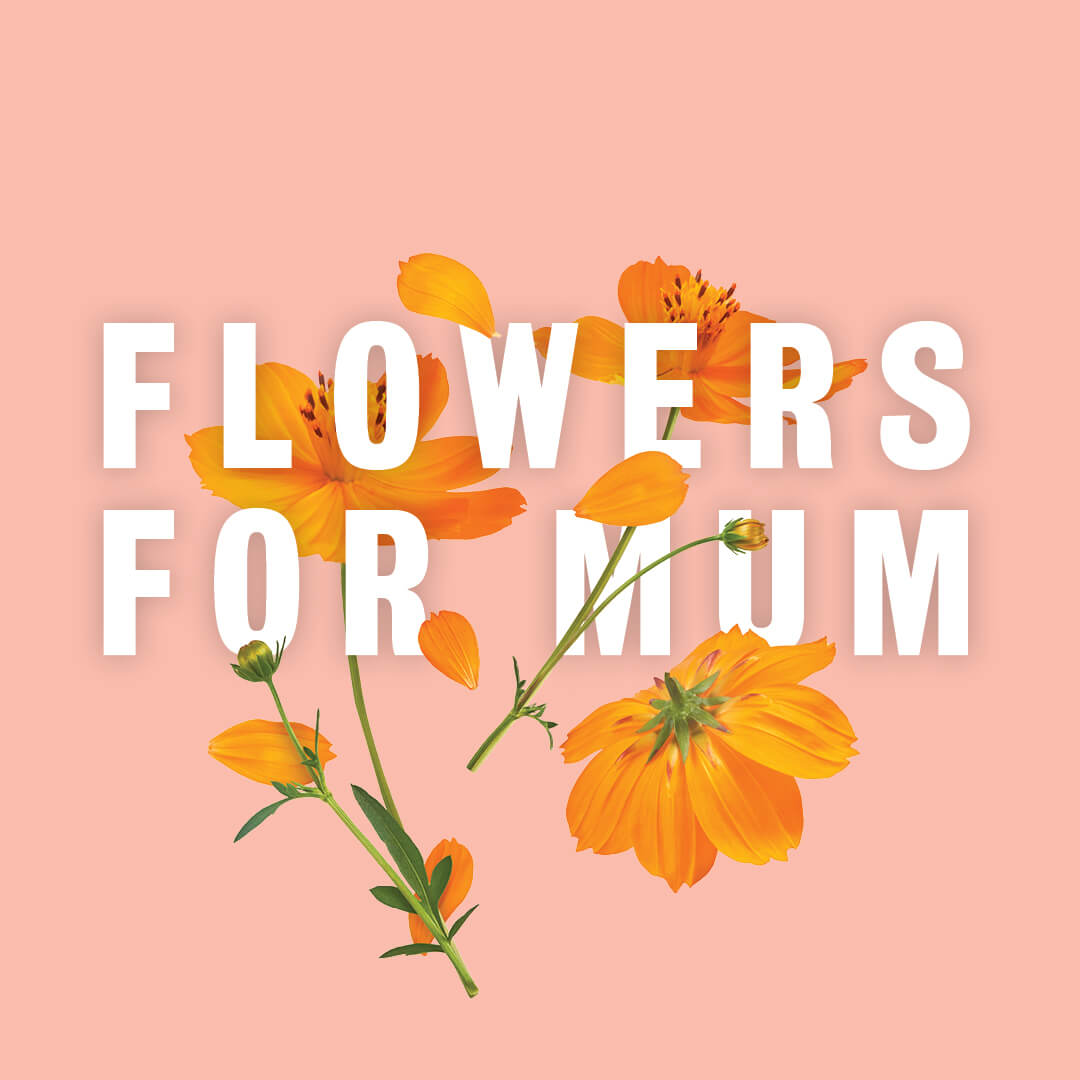 Featured Image For: Flowers for Mum
